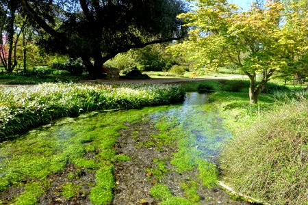 Water - Giardino di Ninfa, Italy - DSC02882