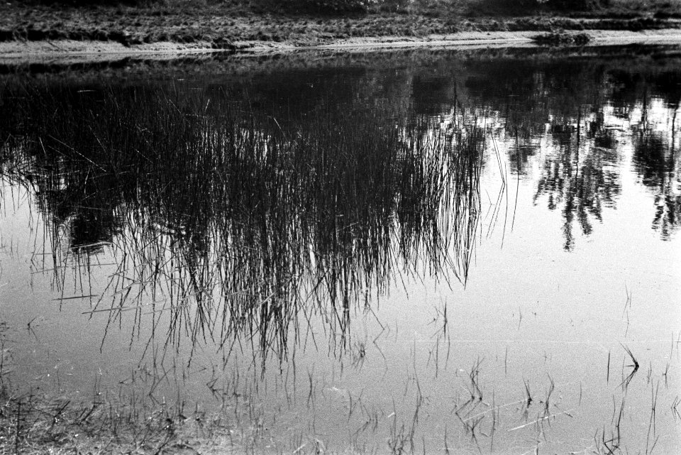 Water, Bestanddeelnr 170-0080