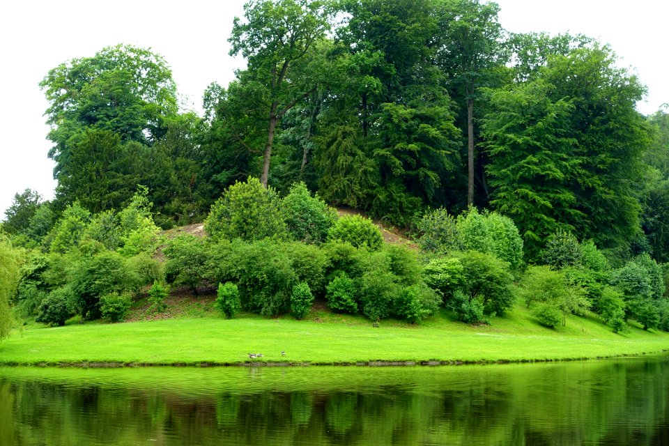 Water Garden - Studley Royal Park, North Yorkshire, England DSC00946