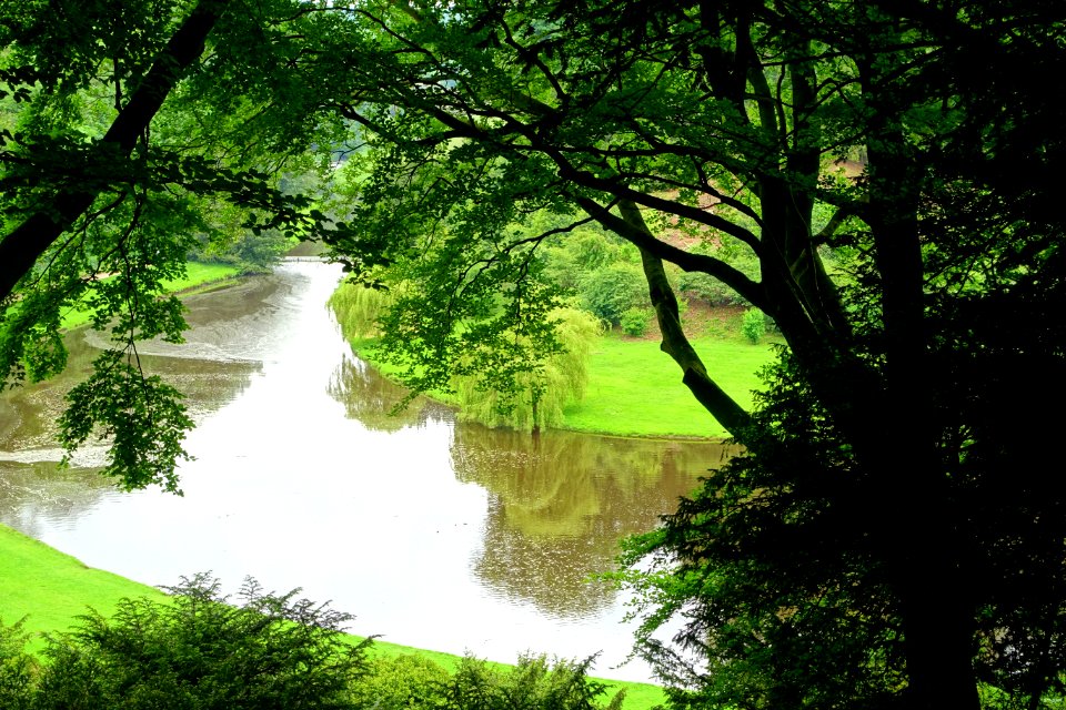 Water Garden - Studley Royal Park, North Yorkshire, England DSC00919