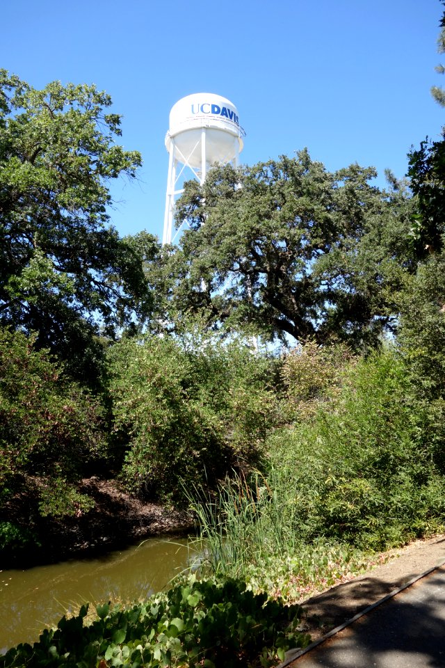 Water tower - University of California, Davis - DSC03401