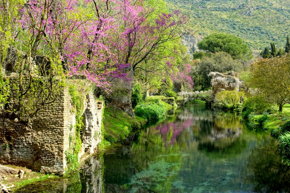 Water in spring - Giardino di Ninfa, Italy - DSC03047