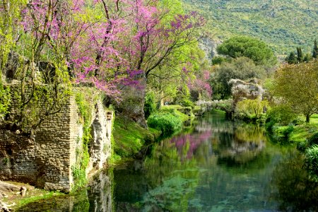 Water in spring - Giardino di Ninfa, Italy - DSC03047