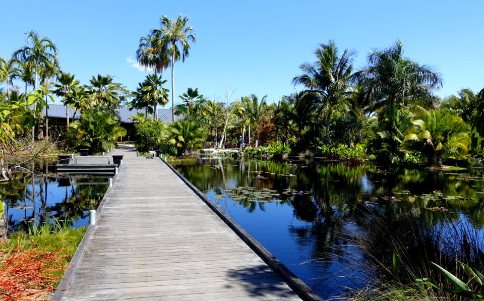 Water Garden - Naples Botanical Garden - Naples, Florida - DSC09748