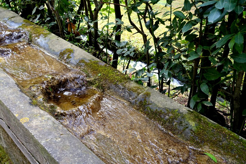 Water chain - Villa d'Este - Tivoli, Italy - DSC03948