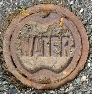 Water - Arlington, MA - 20200714 083145