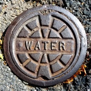 Water - Arlington, MA - 20200908 093628