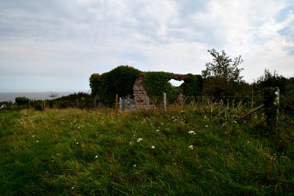 Watchet (2020-09-15) 51