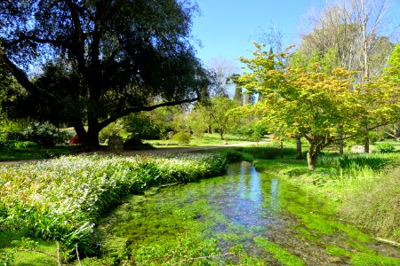 Water - Giardino di Ninfa, Italy - DSC02884