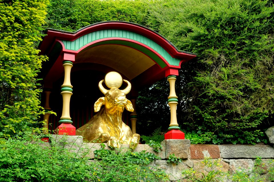Water buffalo - Biddulph Grange Garden - Staffordshire, England - DSC09412