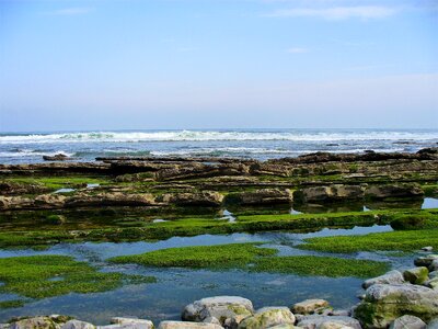 Body of water side landscape