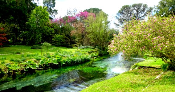 Water - Giardino di Ninfa, Italy - DSC03175