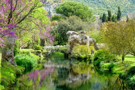 Water in spring - Giardino di Ninfa, Italy - DSC03045