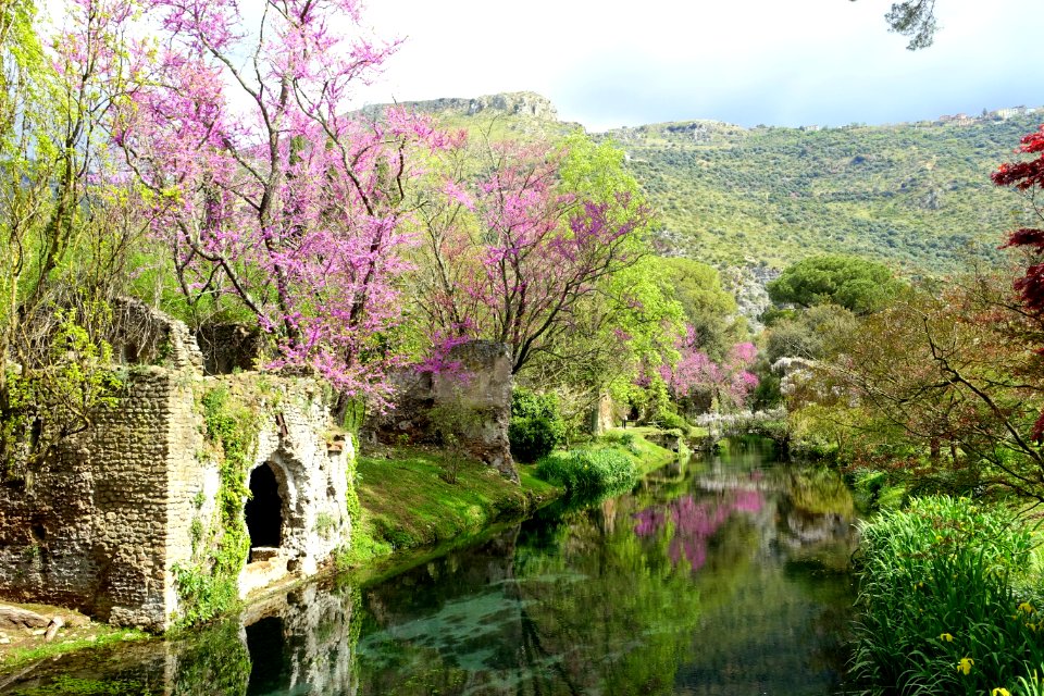 Water in spring - Giardino di Ninfa, Italy - DSC03056