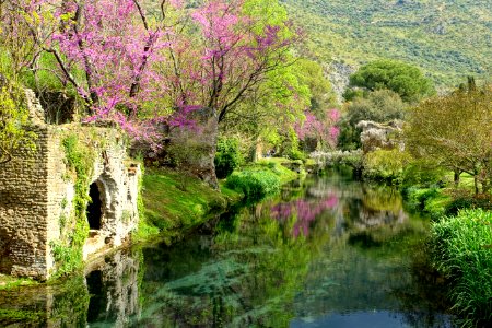 Water in spring - Giardino di Ninfa, Italy - DSC03053