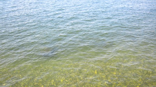 Water at lake Champlain photo