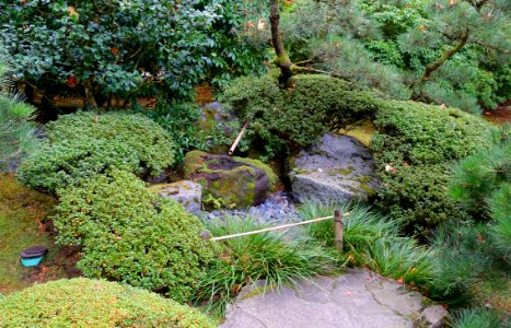 Water - Portland Japanese Garden - Portland, Oregon - DSC08172