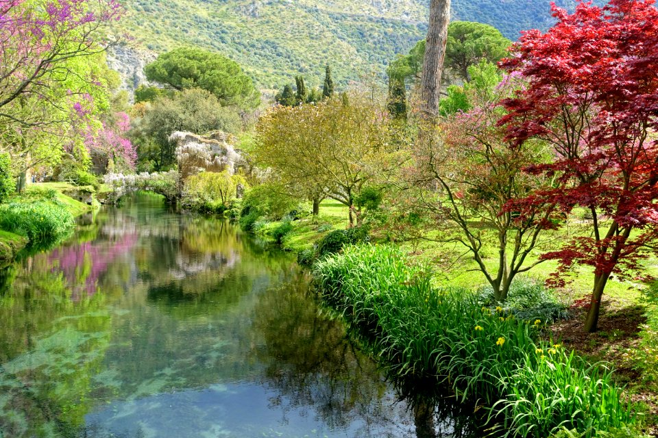 Water in spring - Giardino di Ninfa, Italy - DSC03051
