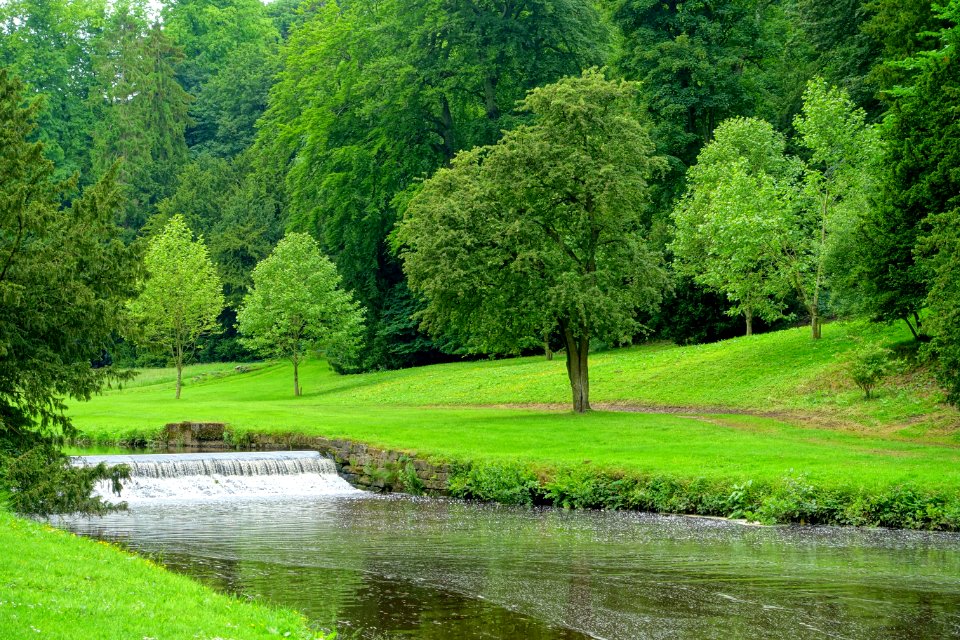 Water Garden - Studley Royal Park, North Yorkshire, England DSC00960