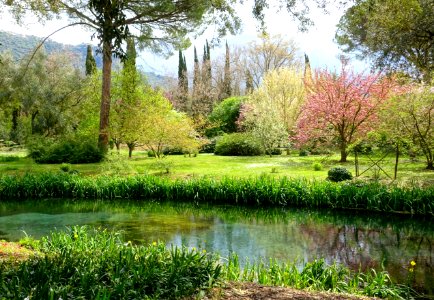 Water - Giardino di Ninfa, Italy - DSC03127
