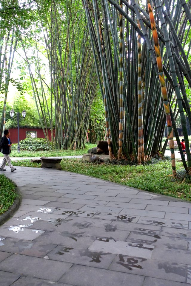 Water calligraphy - Wangjianglou Park - Chengdu, China - DSC05716