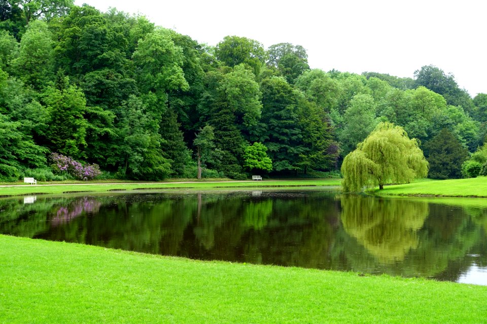 Water Garden - Studley Royal Park, North Yorkshire, England DSC00943