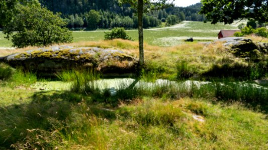 Water cistern and view at Röe castle