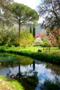 Water - Giardino di Ninfa, Italy - DSC03121