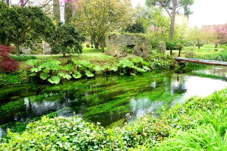 Water - Giardino di Ninfa, Italy - DSC03156