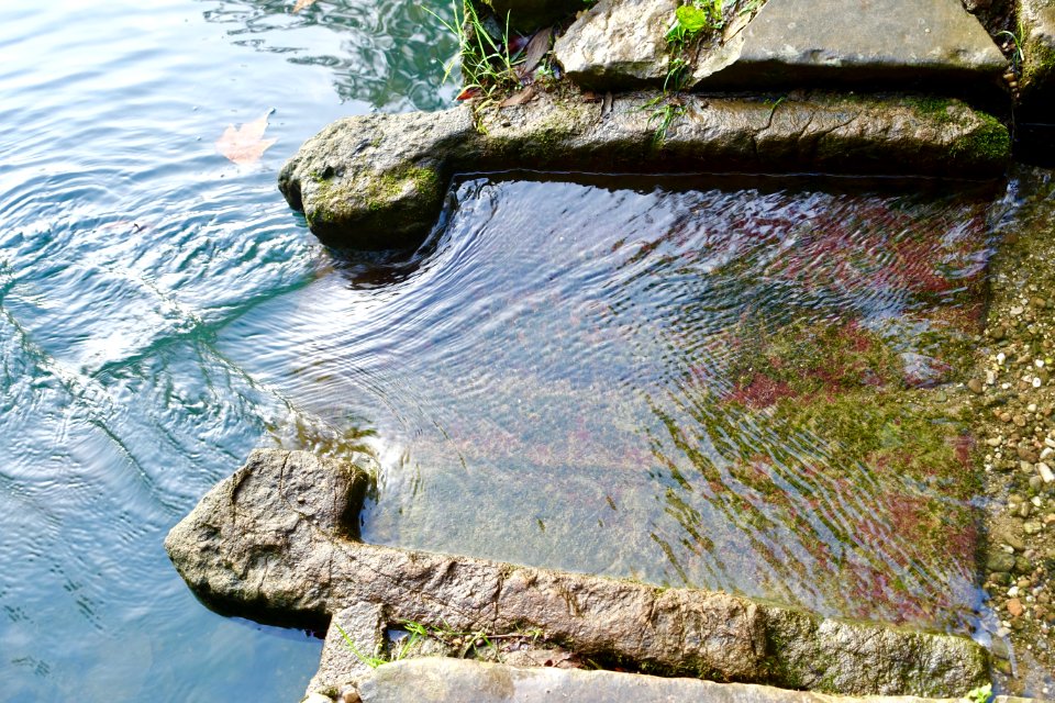 Water - Quinta das Lágrimas - Coimbra, Portugal - DSC09569