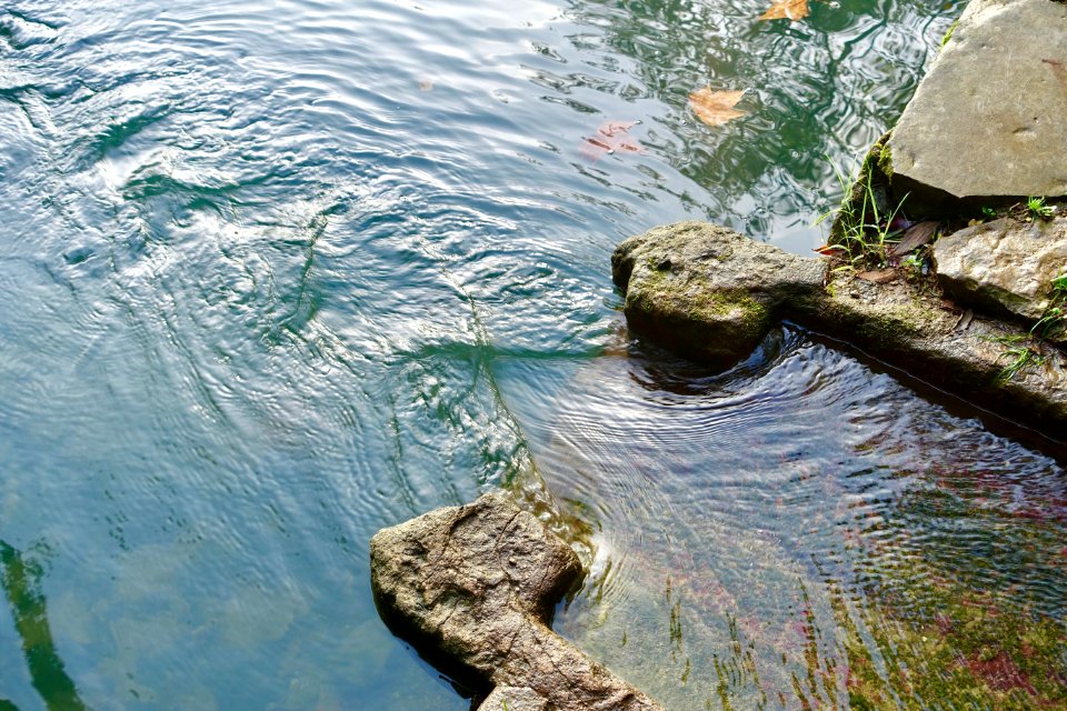 Water - Quinta das Lágrimas - Coimbra, Portugal - DSC09568