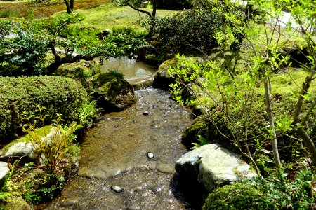 Water - Kenroku-en - Kanazawa, Japan - DSC09711