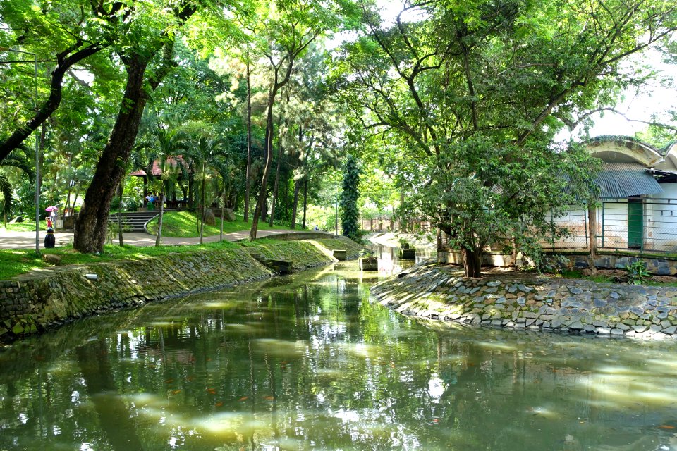 Water - Saigon Zoo and Botanical Gardens - Ho Chi Minh City, Vietnam - DSC01356