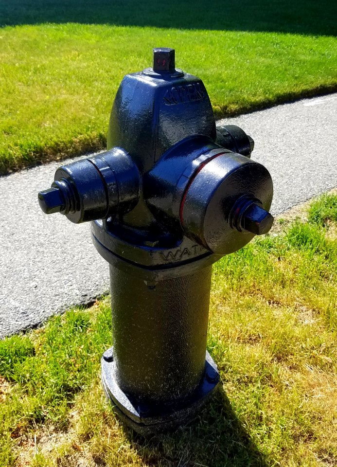 Watrous fire hydrant - Arlington, MA - 20200604 094435