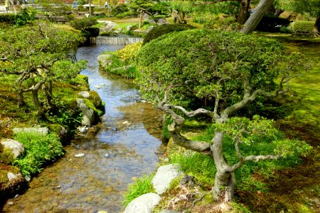 Water - Kenroku-en - Kanazawa, Japan - DSC09764