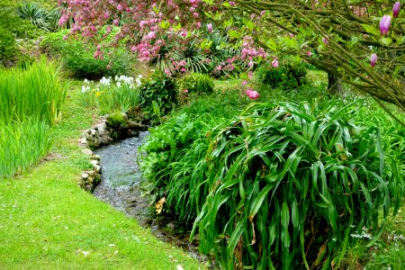 Water - Giardino di Ninfa, Italy - DSC03165