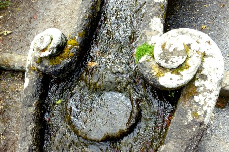 Water chain detail - Villa Lante, Bagnaia, Italy - DSC02040
