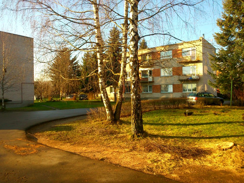 Way (Street Miškininkų), Jonava