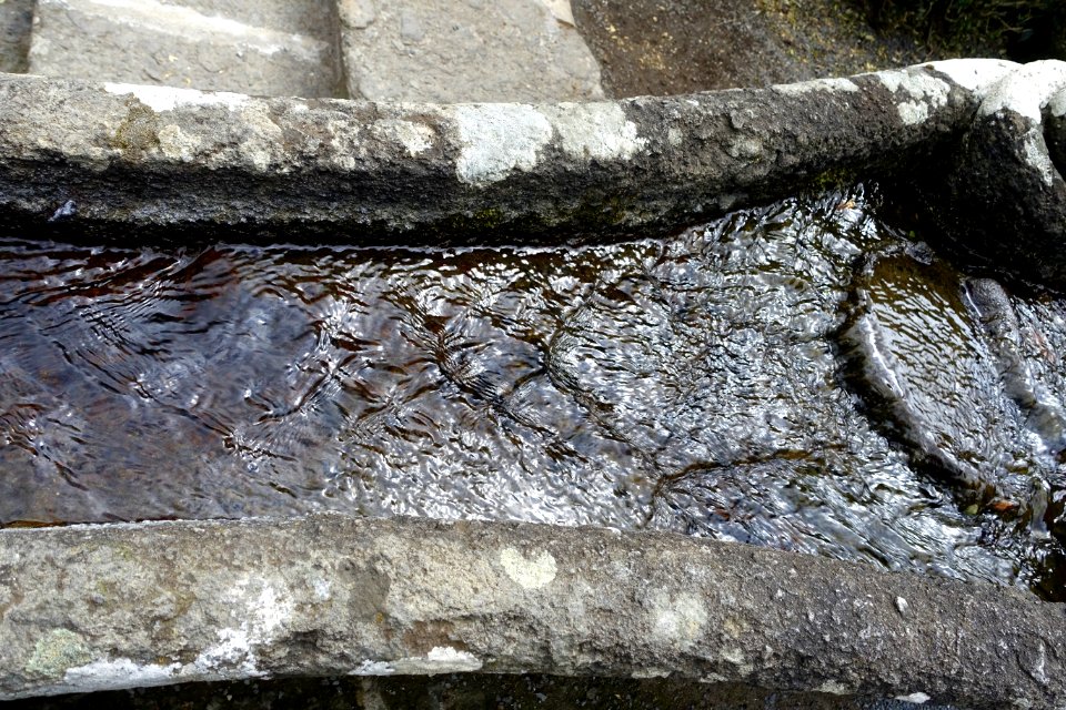 Water chain detail - Villa Lante, Bagnaia, Italy - DSC02032