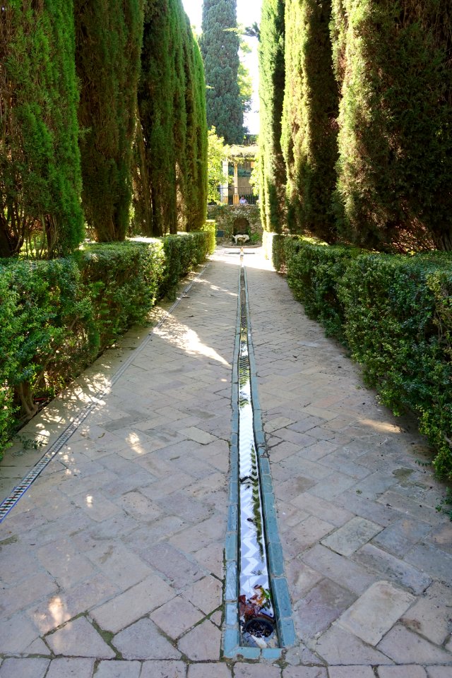 Water channel - Alcázar of Seville, Spain - DSC07516