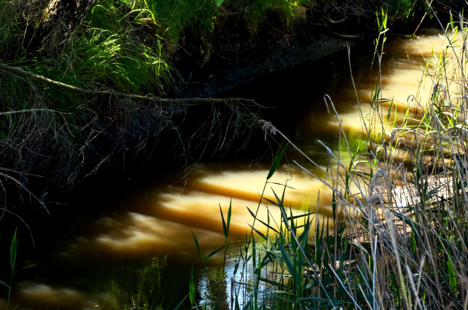 Water of Broälven Nature Reserve 3
