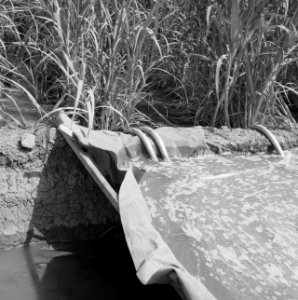 Water opstuwen voor irrigatiedoeleinden, Bestanddeelnr 250-8663