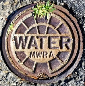 Water MWRA - Arlington, MA - 20200716 090639