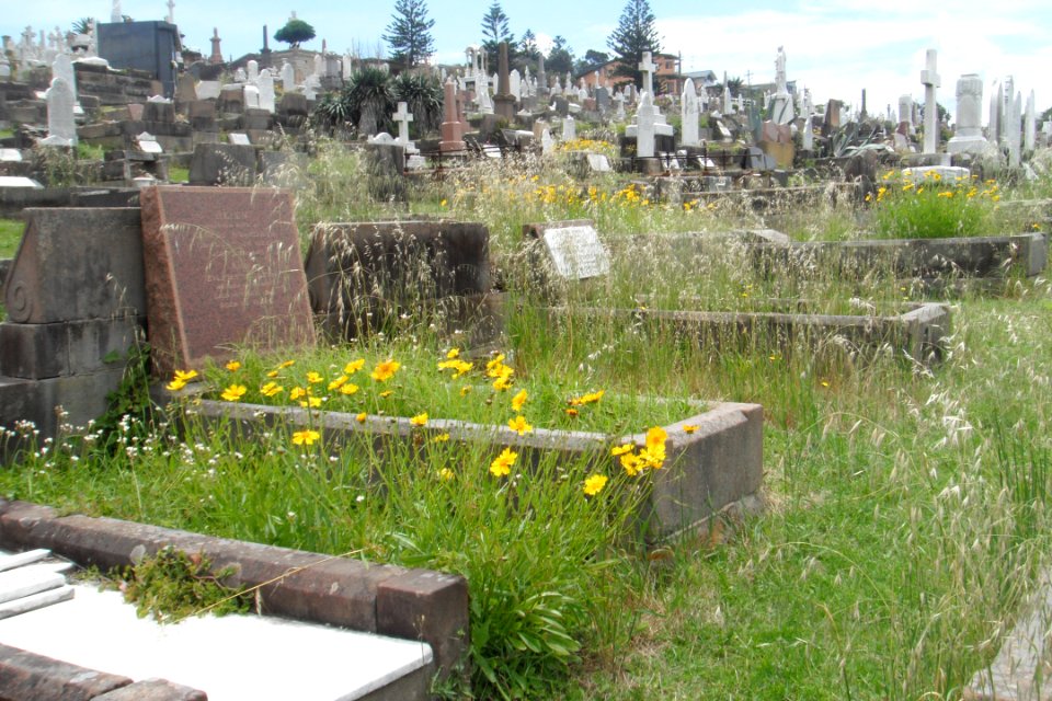 Waverly cemetery