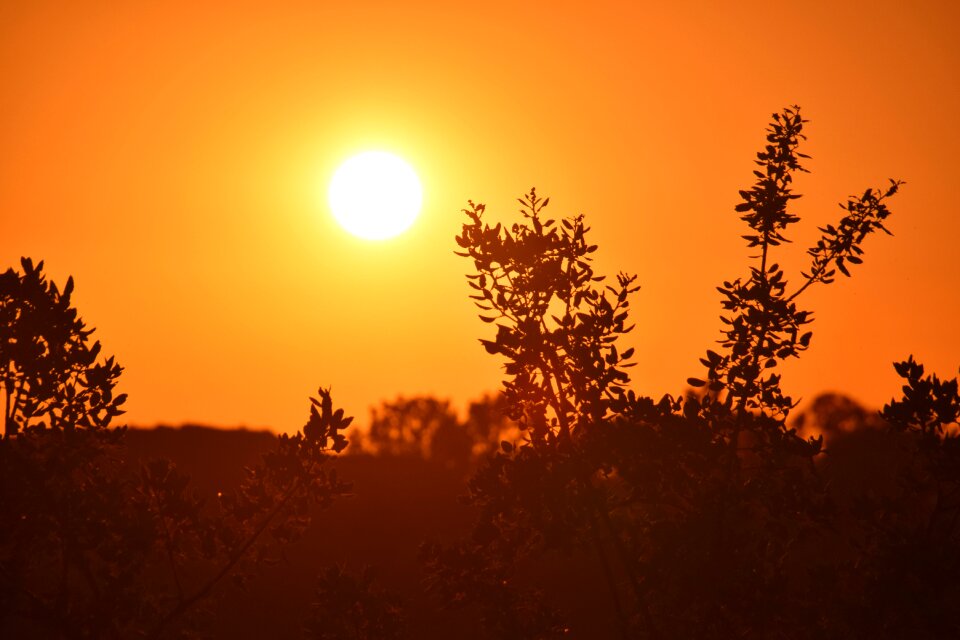 Evening mood romantic