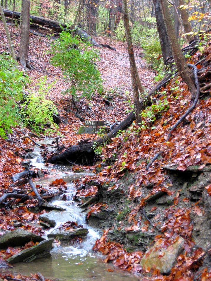 Waterfall, Kane Woods, 2020-10-30, 04