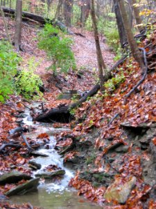 Waterfall, Kane Woods, 2020-10-30, 04