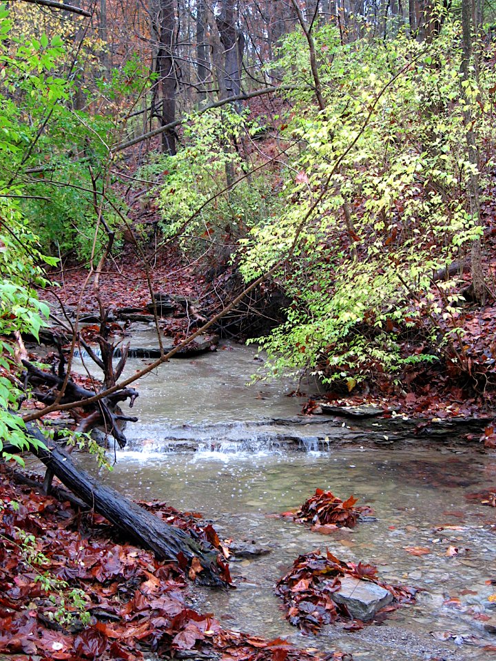 Waterfall, Kane Woods, 2020-10-30, 03