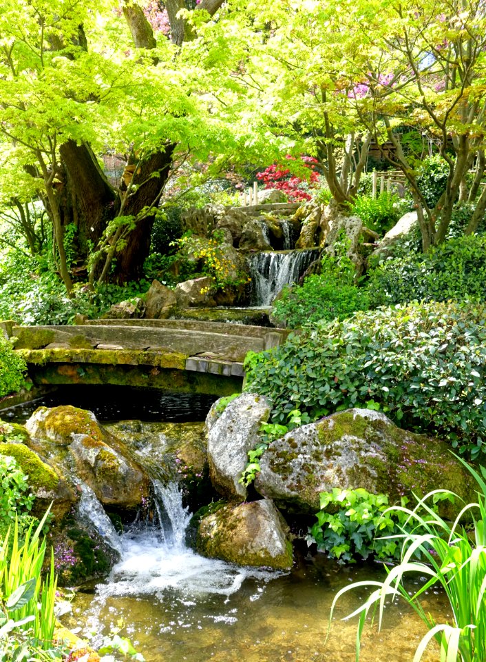 Waterfalls - Japanese Garden - Orto botanico - Rome, Italy - DSC00207
