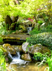 Waterfalls - Japanese Garden - Orto botanico - Rome, Italy - DSC00207